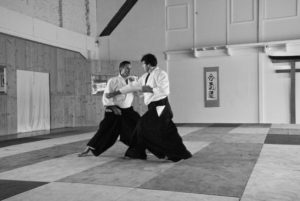 Aikido Dojo Südstern 2012 (11)