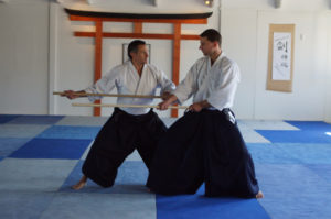 Aikido Dojo Südstern 2012 (22)
