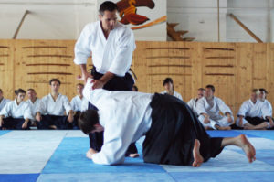 Aikido Dojo Südstern 2012 (38)