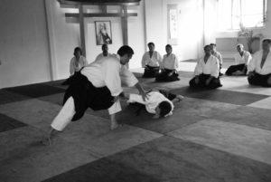 Aikido Dojo Südstern 2012 (4)