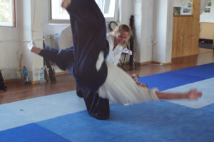 Aikido Dojo Südstern 2012 (60)