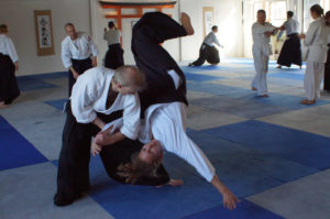 Aikido Dojo Südstern 2012 (61)