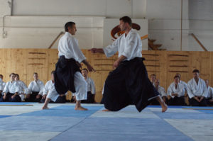 Aikido Dojo Südstern 2012 (85)