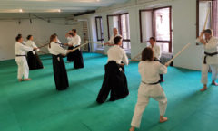 Aikido Dojo Südstern – Kenjutsu